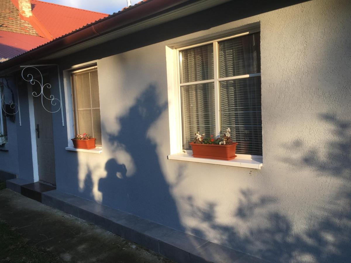 Stefanika 42\5\2 Apartman Beregszász Kültér fotó